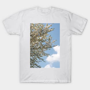 A tree flowering with White Cherry blossom with Blue Sky T-Shirt